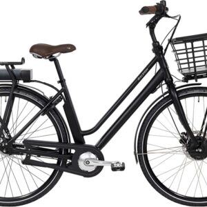 Raleigh Sussex E1 Dame 48cm 7g Shimano Nexus fodbremse mat sort